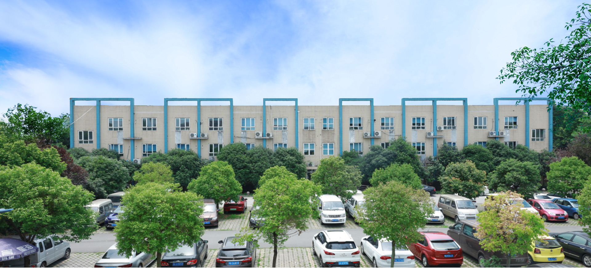 通过GSP认证的大型药品批发企业